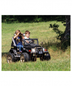 Gaucho XP (24V) - Image 12