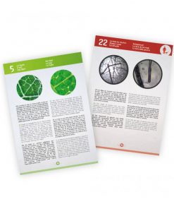 3 in 1 Digital Microscope - Image 4