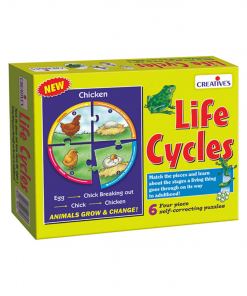 Life Cycles