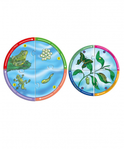 Alternative view of Life Cycles