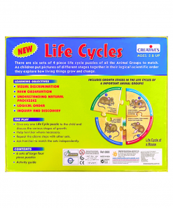 Life Cycles - Image 3
