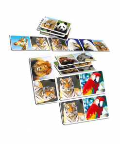 Alternative view of Dominoes Zoo