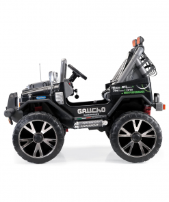 Alternative view of Gaucho Superpower (24V)